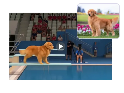 Works with any pet, not just cats