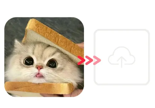 🌸 Upload Your File