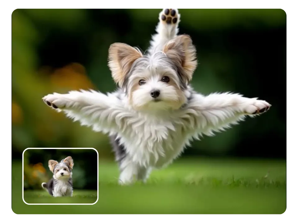 Perfect for Pet Birthdays, Reels & Profiles