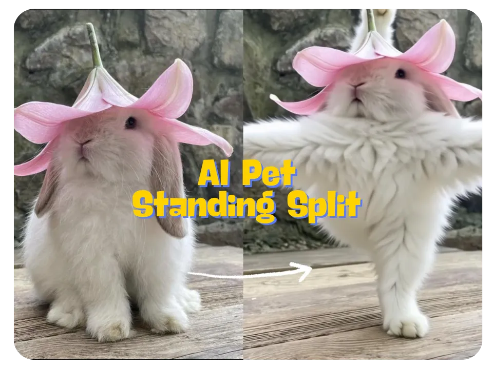 Works with All Pets—No Fancy Setup Needed