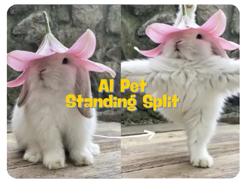 Works with All Pets—No Fancy Setup Needed