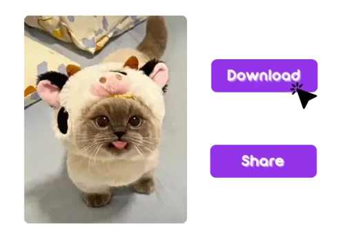 Step 3: Download the Result