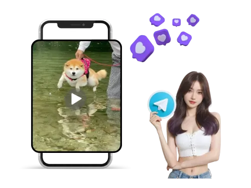 Perfect for Creators and Everyday Users