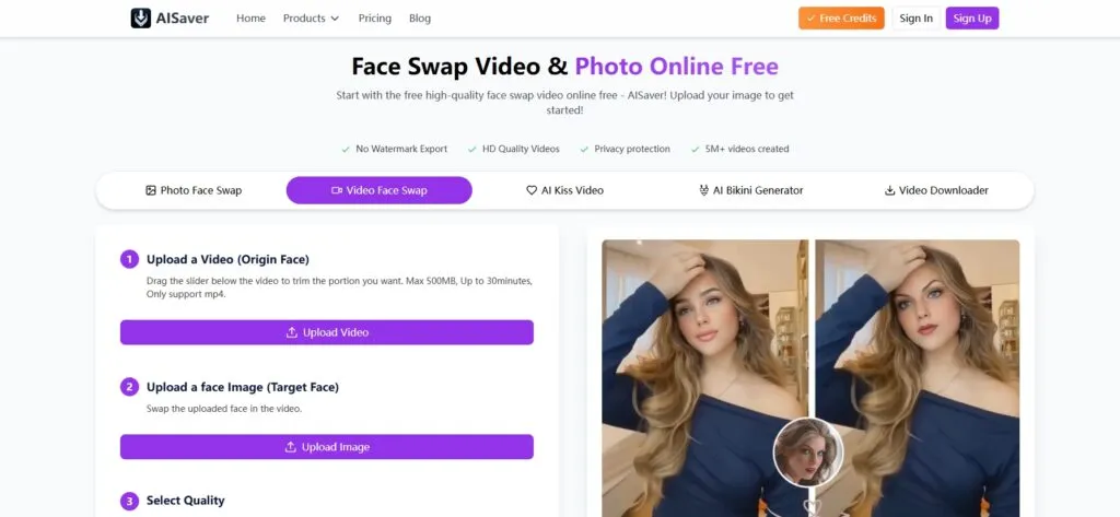 Video Face Swap