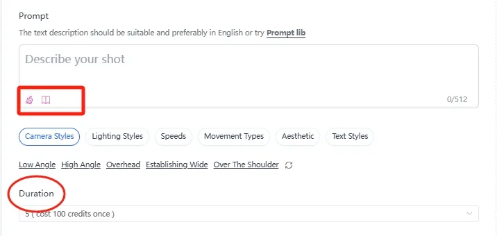  Input Prompt and Duration