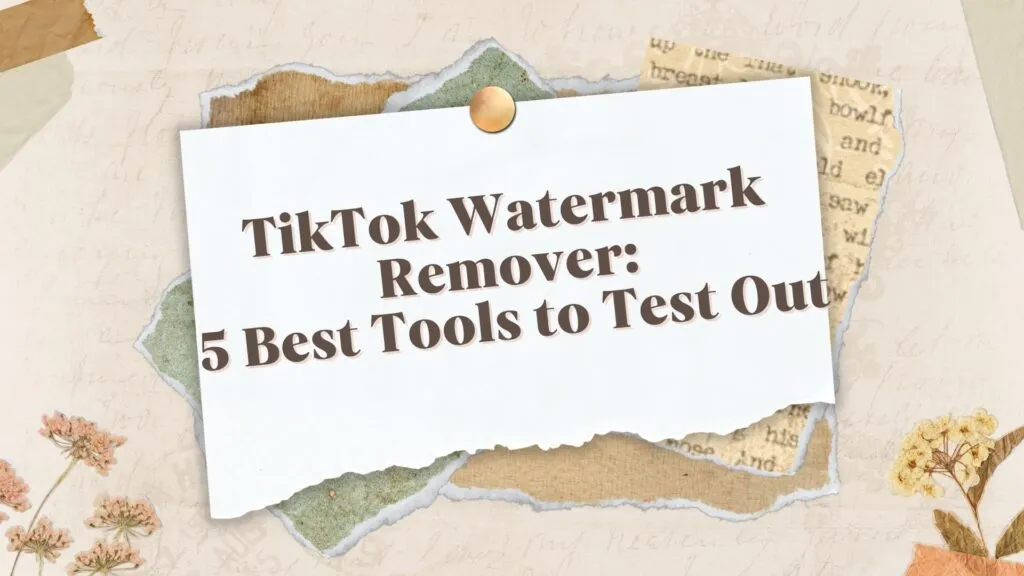 TikTok Watermark Remover:5 Best Tools to Test Out