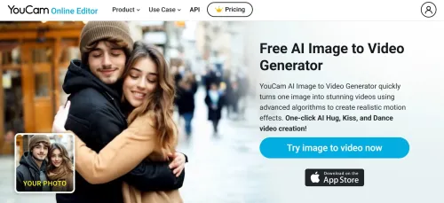 YouCam Online Editor