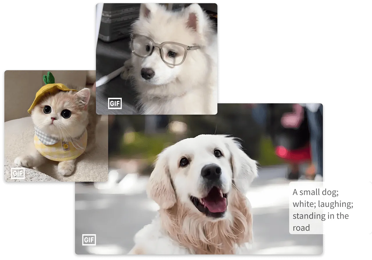 Create GIFs instantly with the Text to Meme GIF Tool
