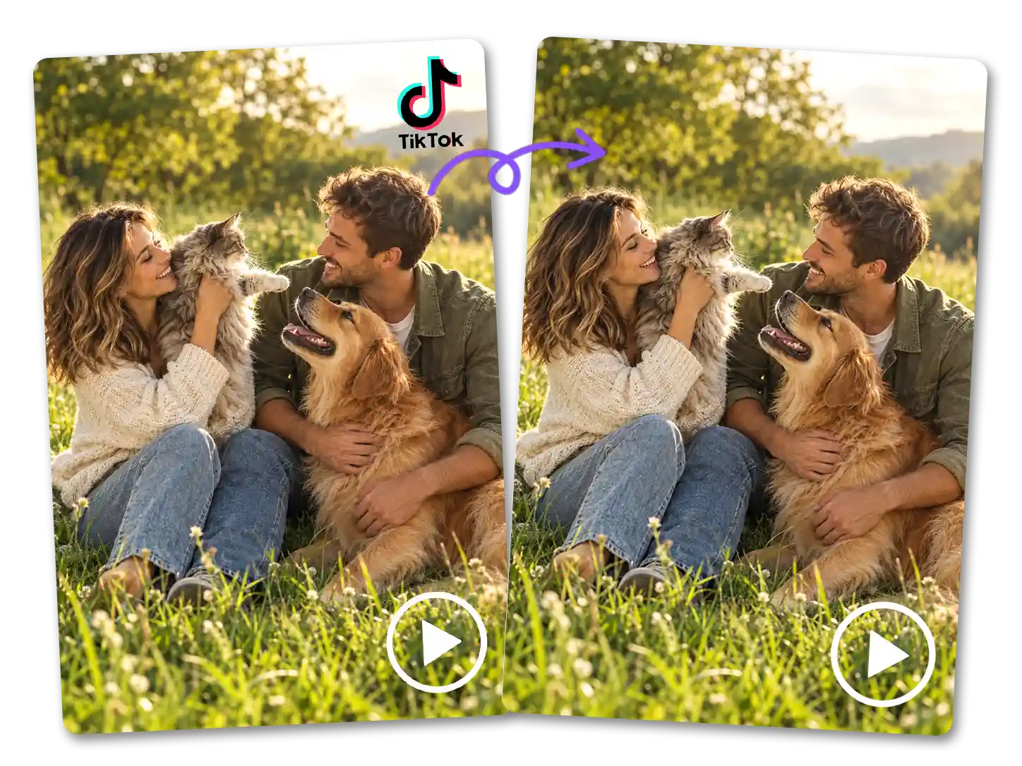 Video watermark removal example