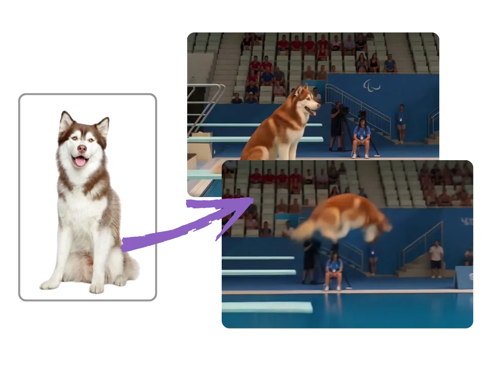 Cat Diving Video Generator